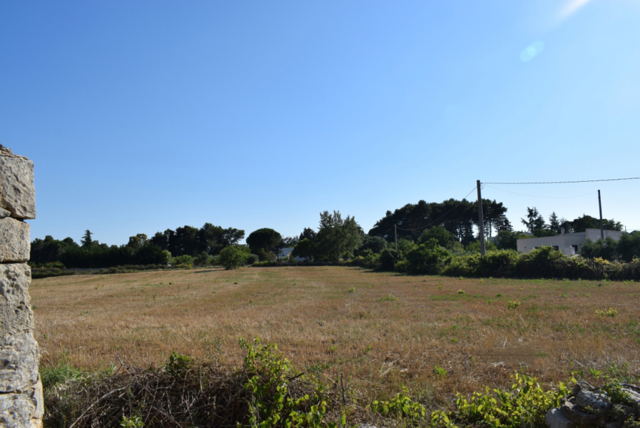 Trulli con terreno